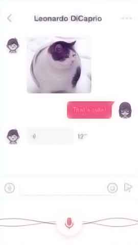 服务器攻击软件